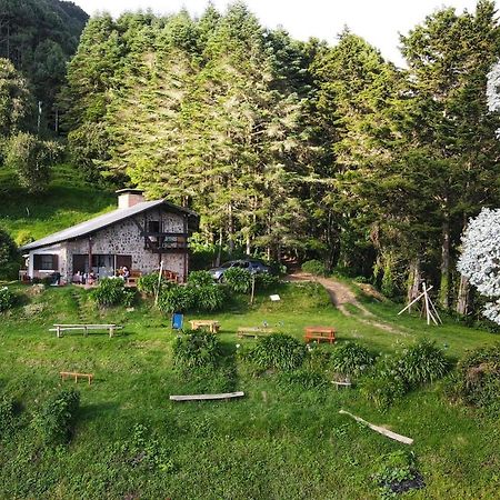 El Pital Ecolodge San Ignacio Exteriör bild