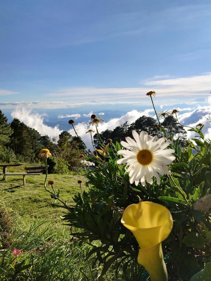 El Pital Ecolodge San Ignacio Exteriör bild
